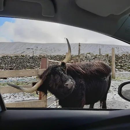 Long View *